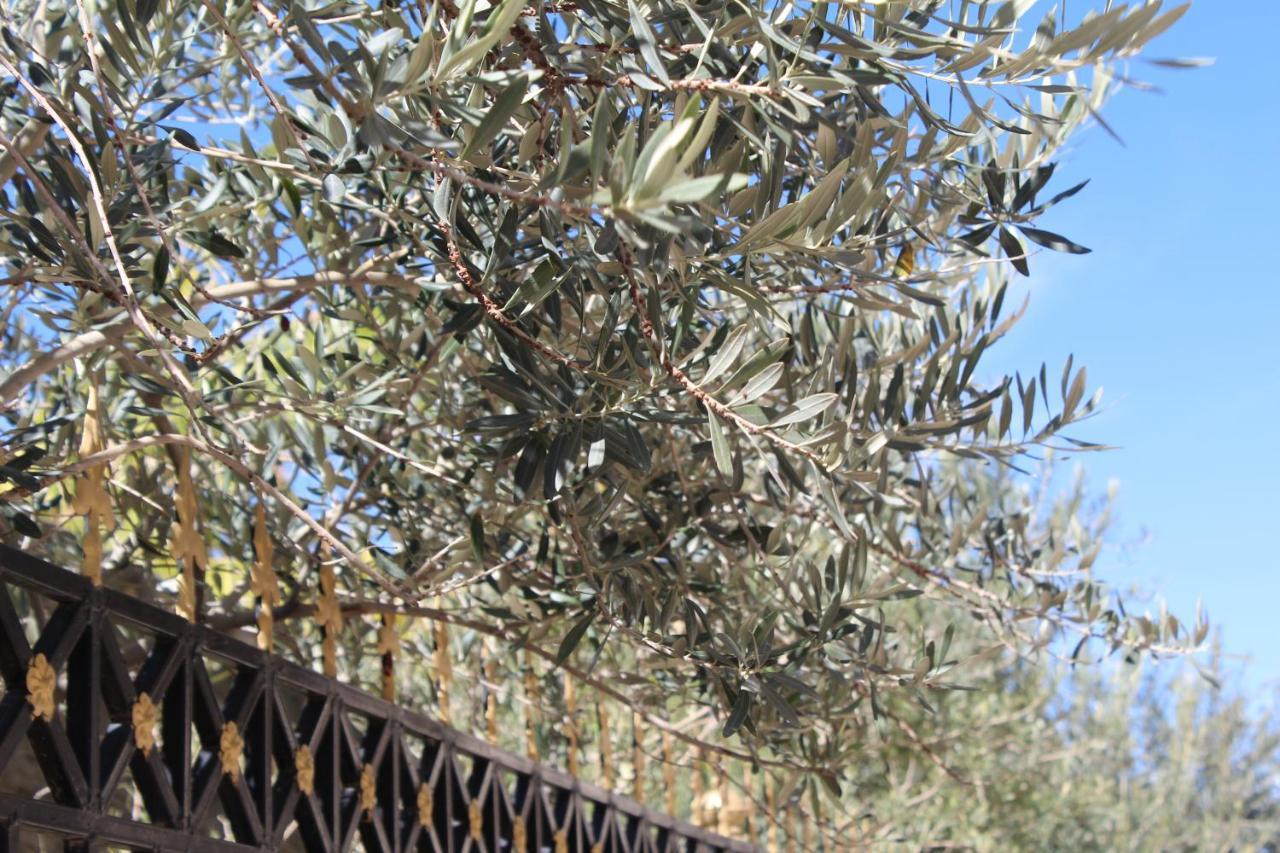 Asas Al Jabal Al Akhdar Apartments شقق أساس الجبل الأخضر Sayq エクステリア 写真
